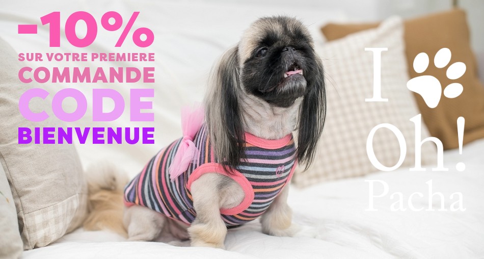 T-shirt pour chien Miss Glamour - Oh ! Pacha